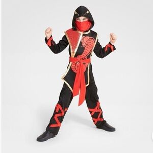 Snake Warrior Ninja Kids Light-Up Costume ,Boy Size Large 12-14, black, Red,gold